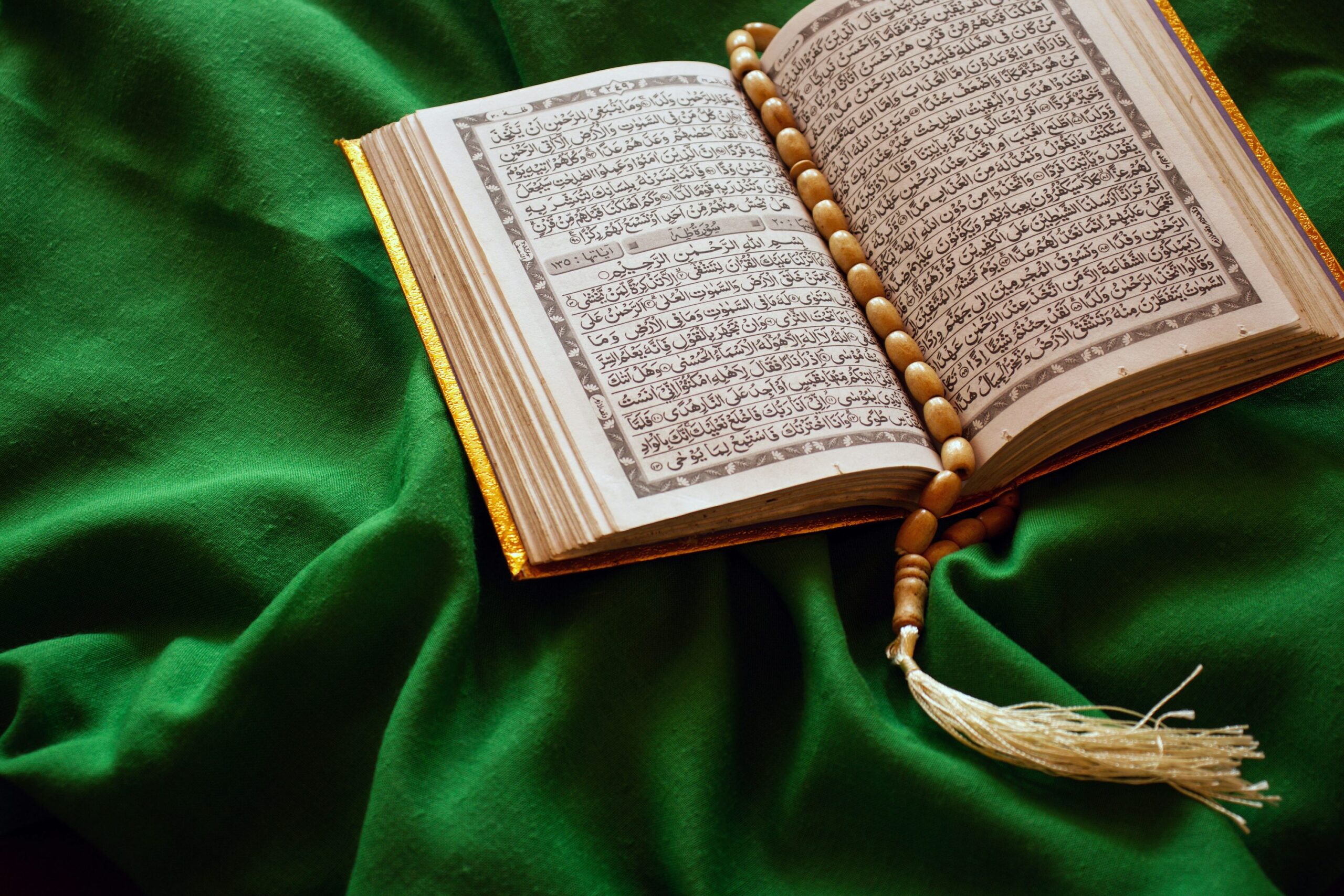 Translation & Tafsir of the Quran